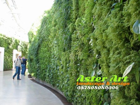 Лиана грин вертикальное озеленение