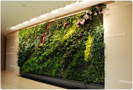 Лиана грин вертикальное озеленение