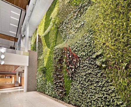 Зеленая стена из растений