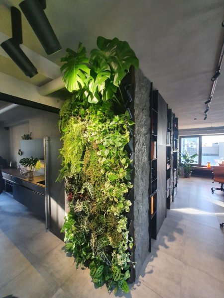 Озеленение помещений