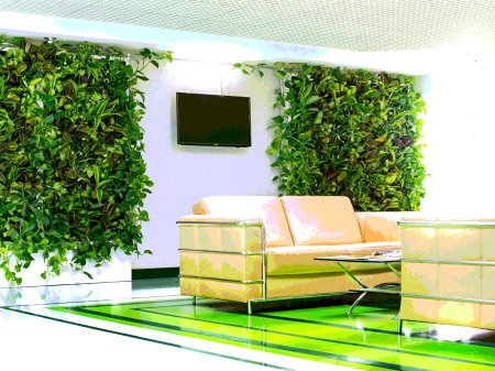 Фитостена самшит