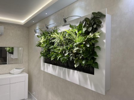 Вертикальное озеленение в квартире
