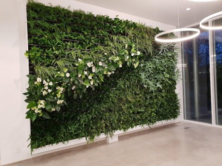 Стена из искусственных растений