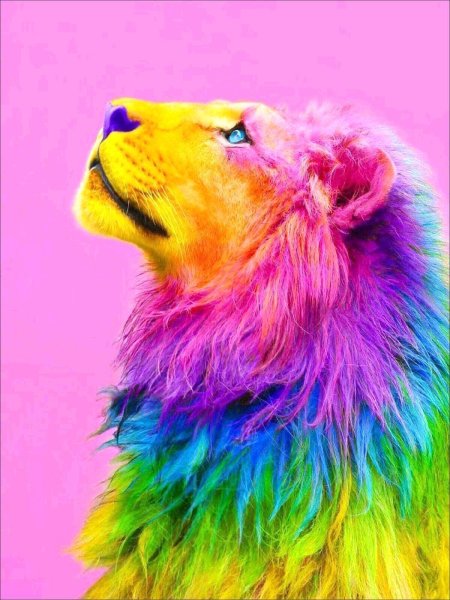 Разноцветные животные