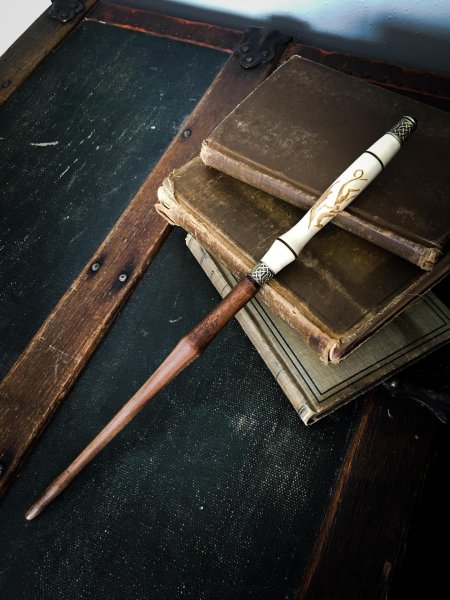 Бузинная палочка из книг о гарри поттере