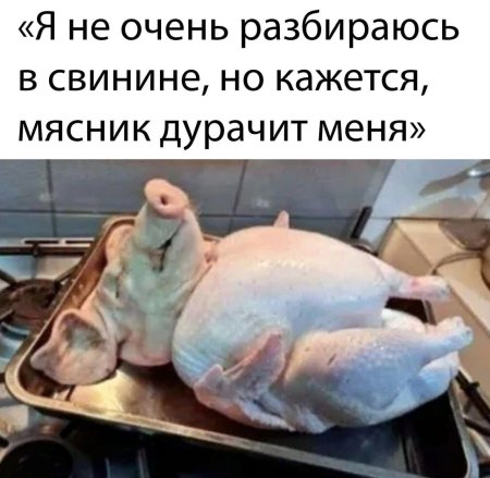 Поросенок и курица