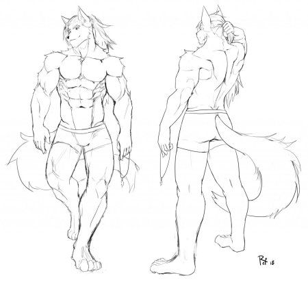 Тело фурри для срисовки