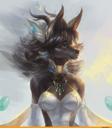 Анубис антро