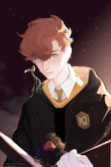 Ньют саламандер и гарри поттер арт