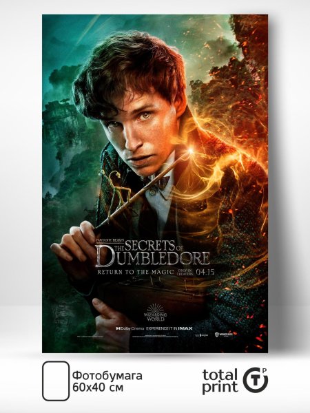 Fantastic beasts the secrets of dumbledore