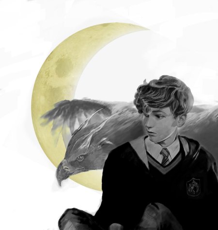 Смеркут гарри поттер