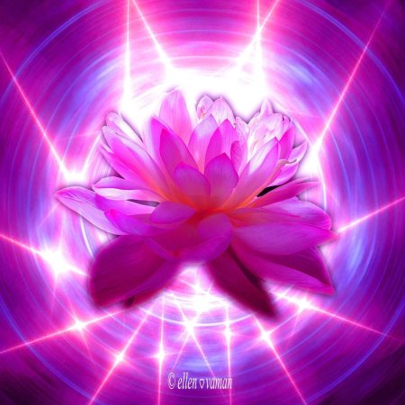 Сахасрара лотос