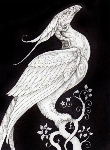 Симург мифология