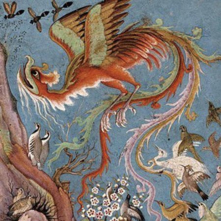 Птица анка симург