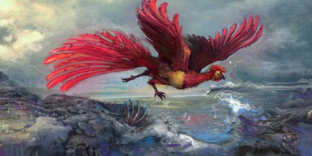 Феникс из гарри поттера