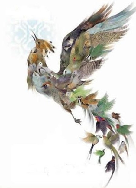 Птица симург