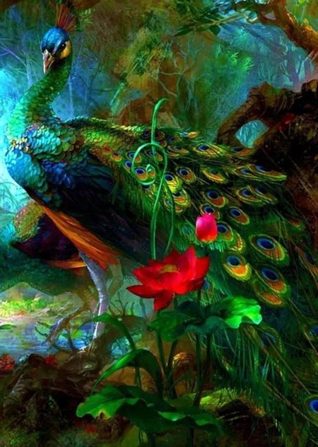 Павлин картина