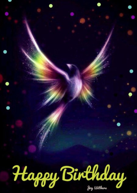 Красивая птица