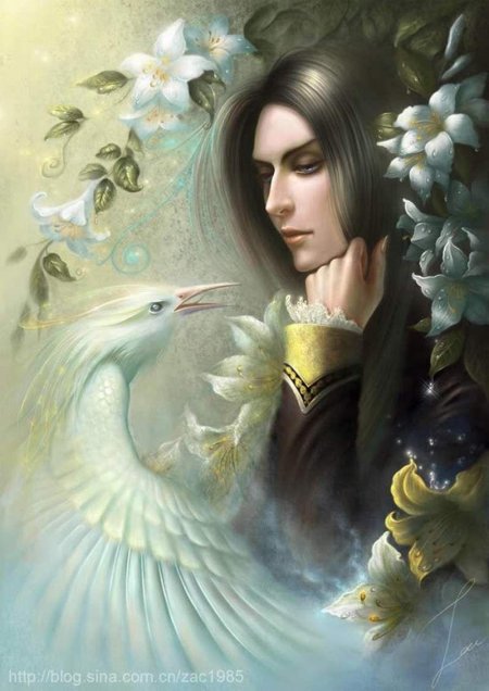 Женщина птица