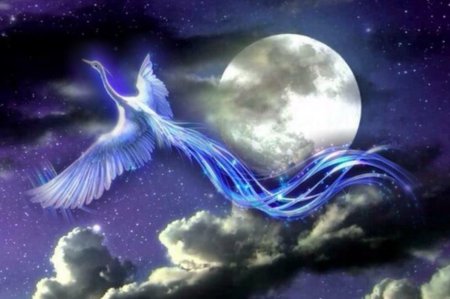 Сказочная птица