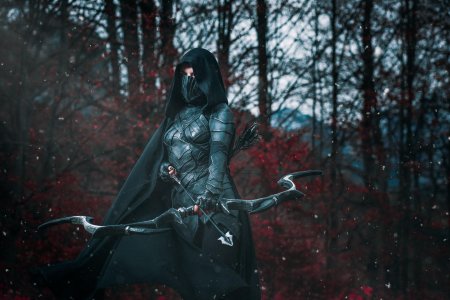 Соловьиная броня косплей