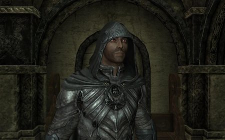 Гильдия воров скайрим соловьиная броня