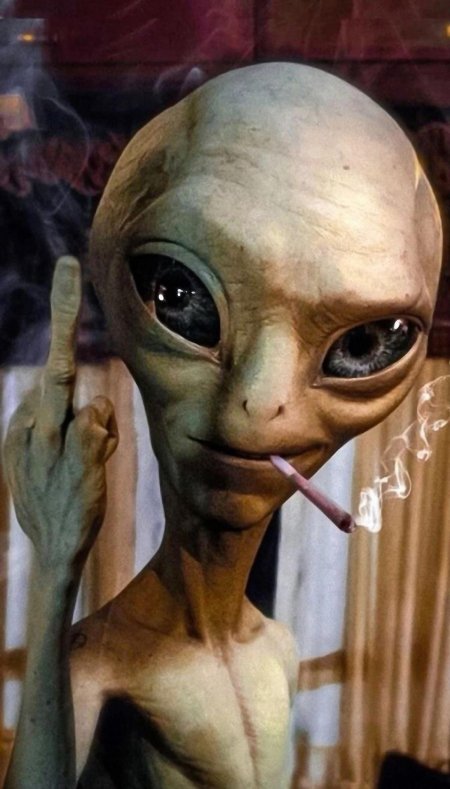 Инопланетянин пол секретный материальчик