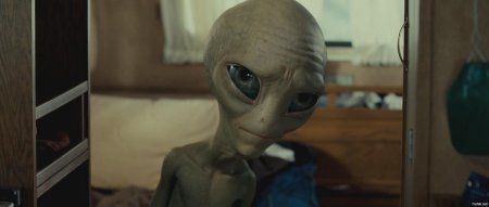 Пол: секретный материальчик ()