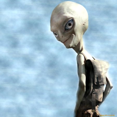 Инопланетянин пол секретный материальчик