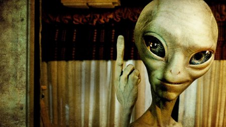 Инопланетянин пол секретный материальчик