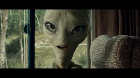 Пол: секретный материальчик (2011)