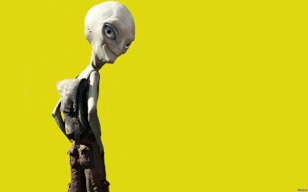 Пол: секретный материальчик (2011)