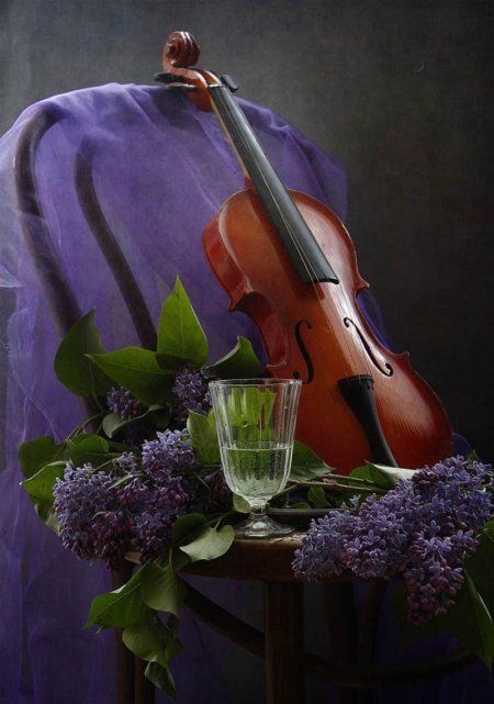 Натюрморт скрипка