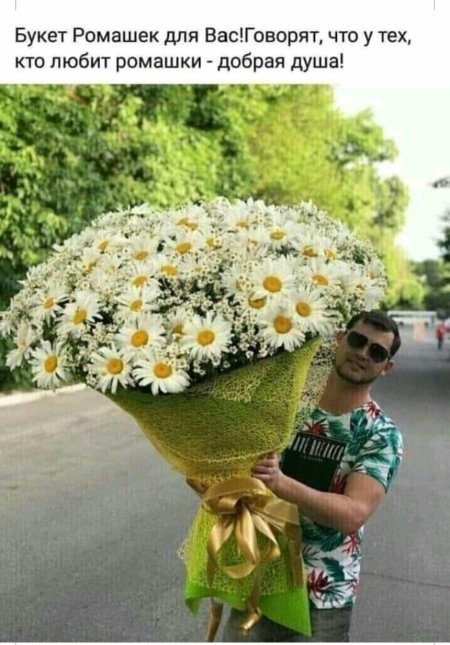 Огромный букет ромашек