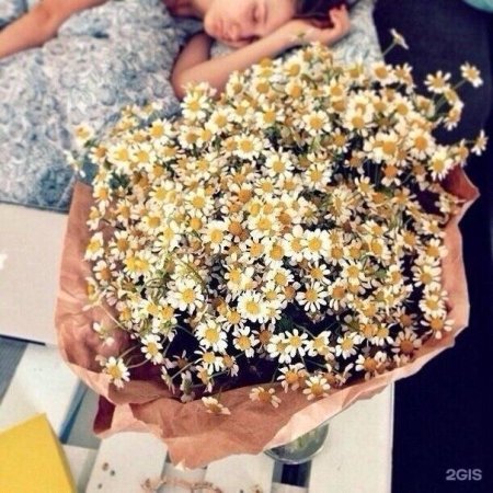 Букет ромашек