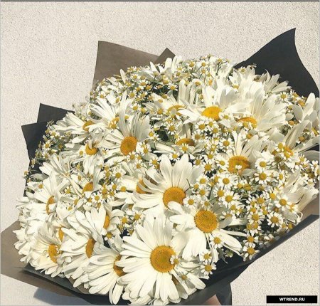 Букет из ромашек