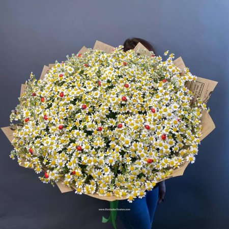 Букет ромашек