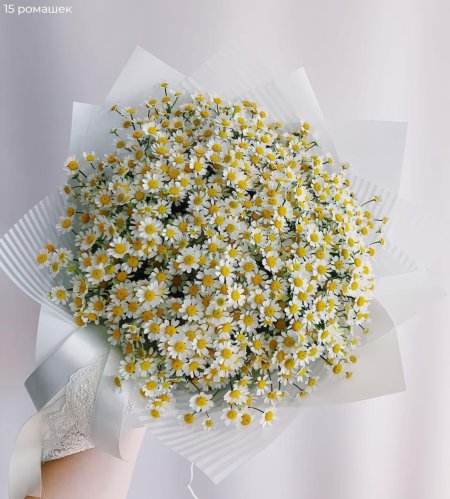 Ромашка матрикария