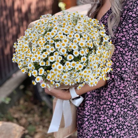 Букет больших ромашек