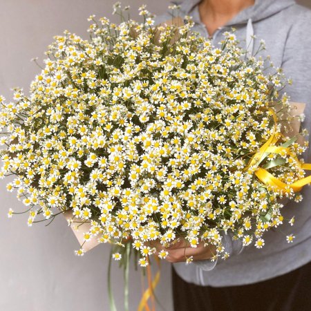 Букет полевых ромашек