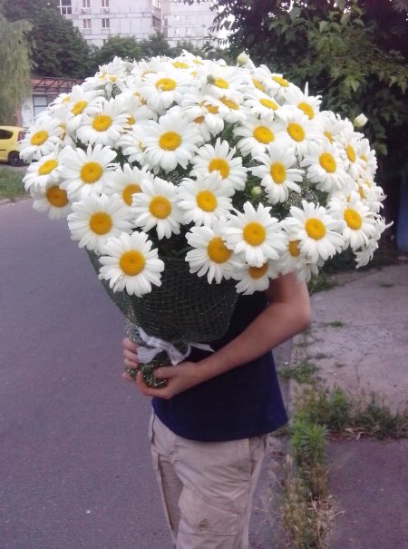 Букет ромашек в руках