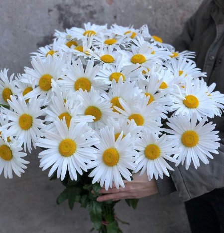 Букет ромашек