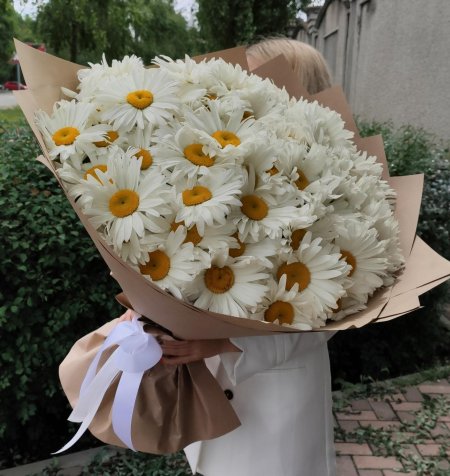 Букет ромашек большой