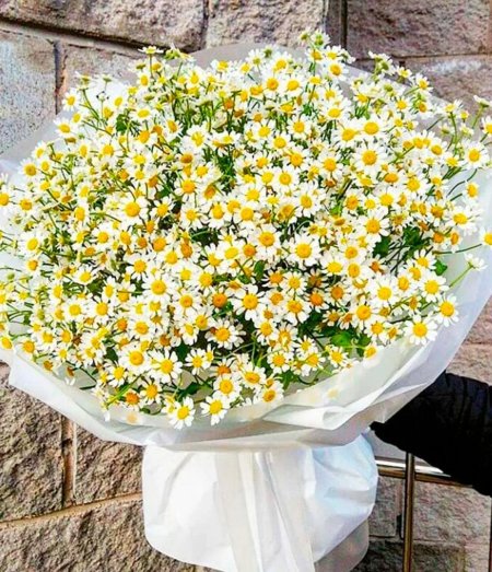 Букет ромашек танацетум