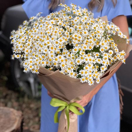 Букет ромашек