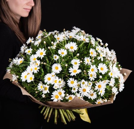 Ромашка матрикария букет