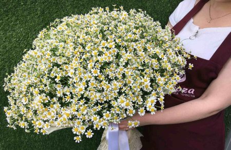 Ромашек букет