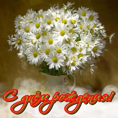 С днём рождения женщине букет ромашек