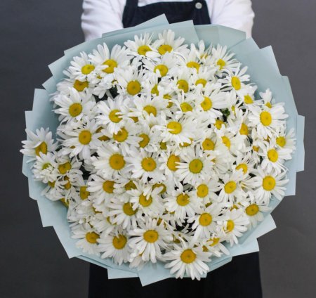 Большой букет крупных ромашек