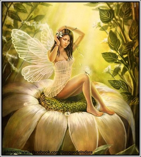 Феи красивые